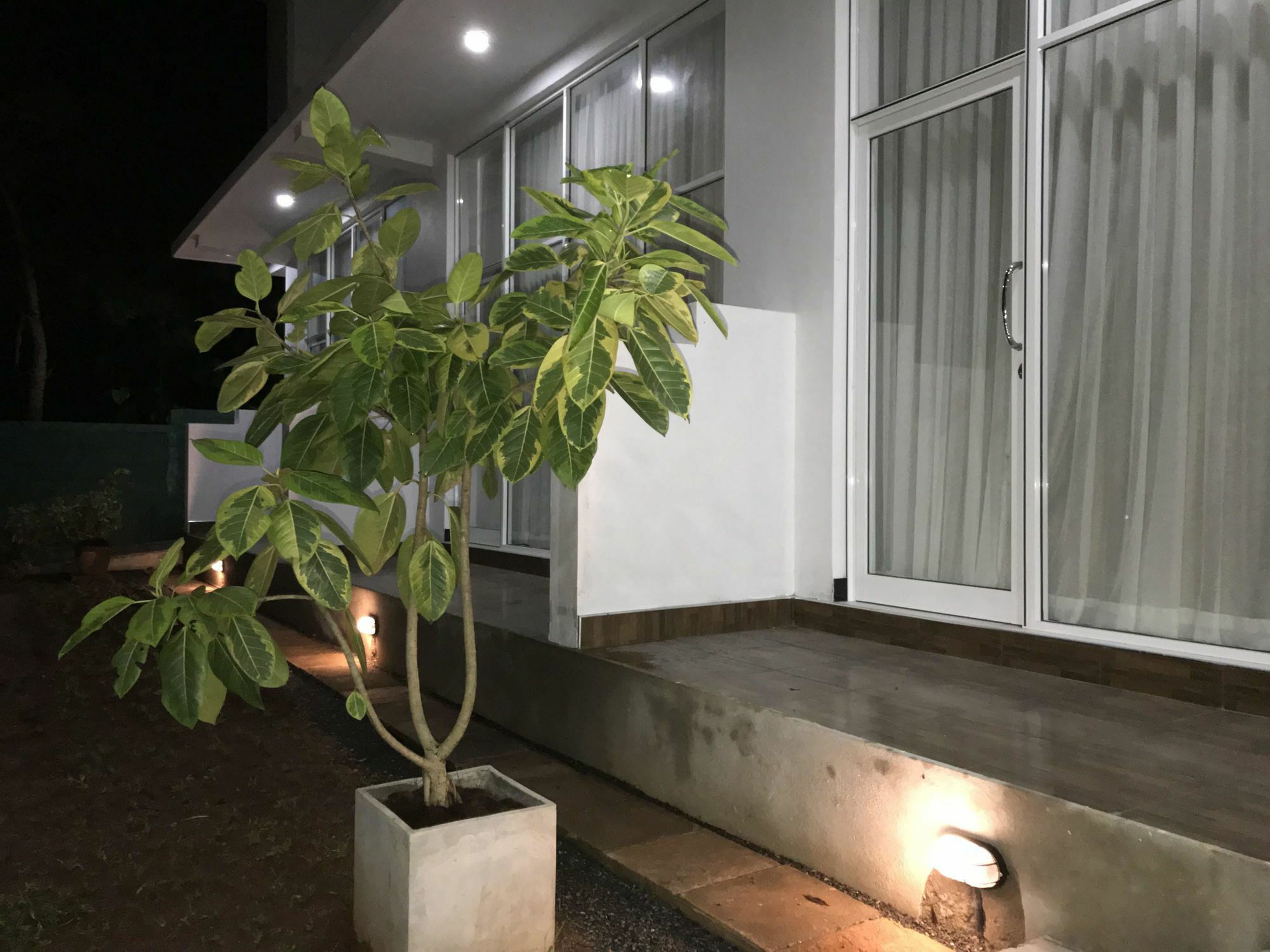 Salubrious Resort أنرادابورام المظهر الخارجي الصورة