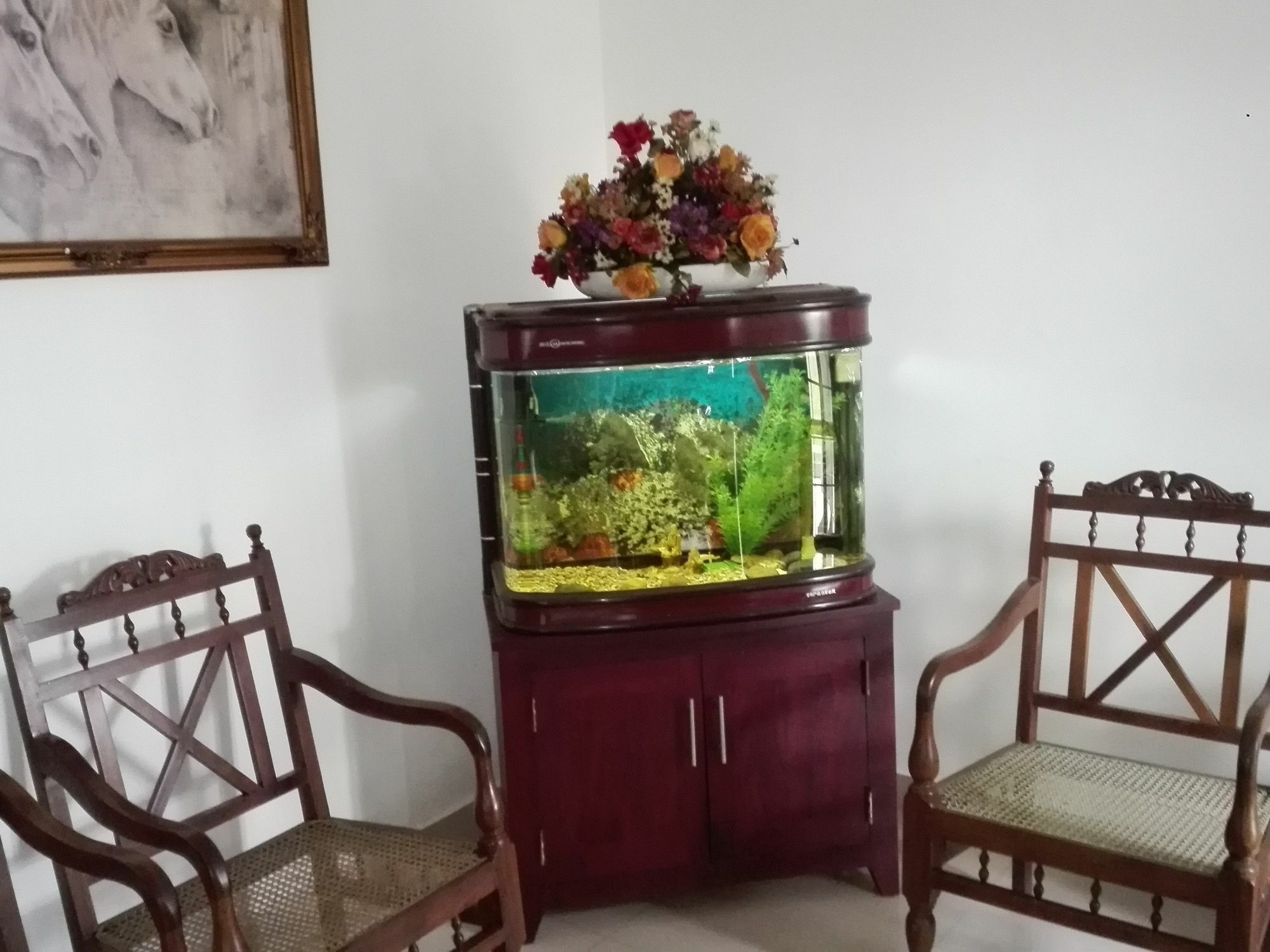 Salubrious Resort أنرادابورام المظهر الخارجي الصورة